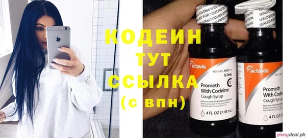 гидропоника Няндома