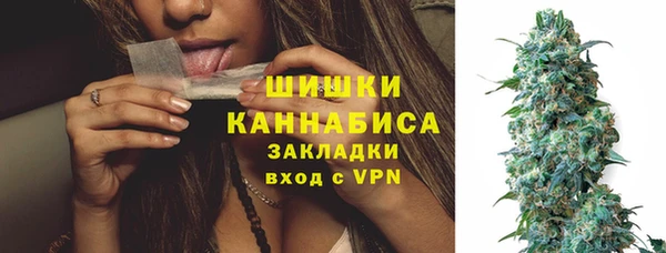 гидропоника Няндома