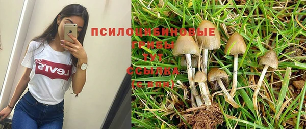 ECSTASY Осташков