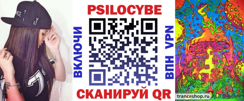 Галлюциногенные грибы Psilocybe купить наркотики сайты Торжок