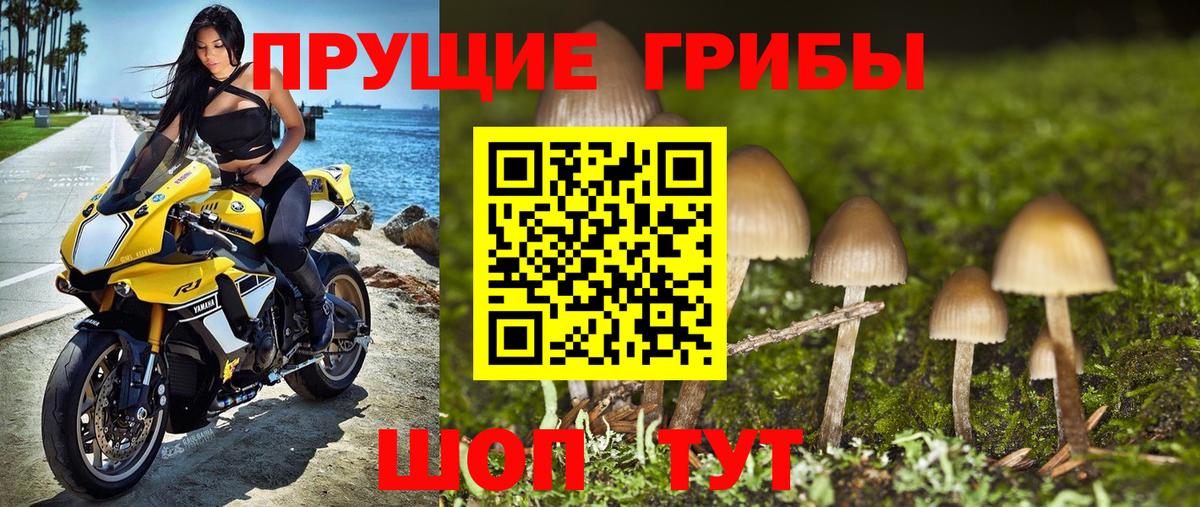Кокаин  Бошки Шишки  Вход с VPN  ГАШ  Alpha-PVP СОЛЬ   Торжок  Меф кристаллы  Метадон 