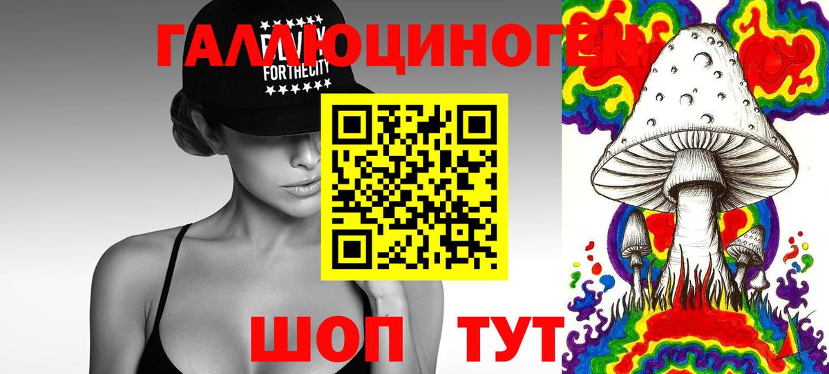 Галлюциногенные грибы Magic Shrooms Торжок