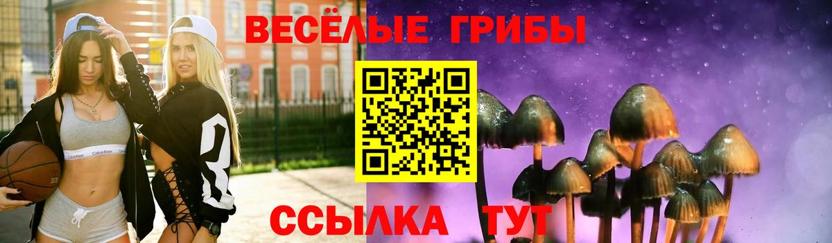 Псилоцибиновые грибы GOLDEN TEACHER  Вход с VPN  Торжок 
