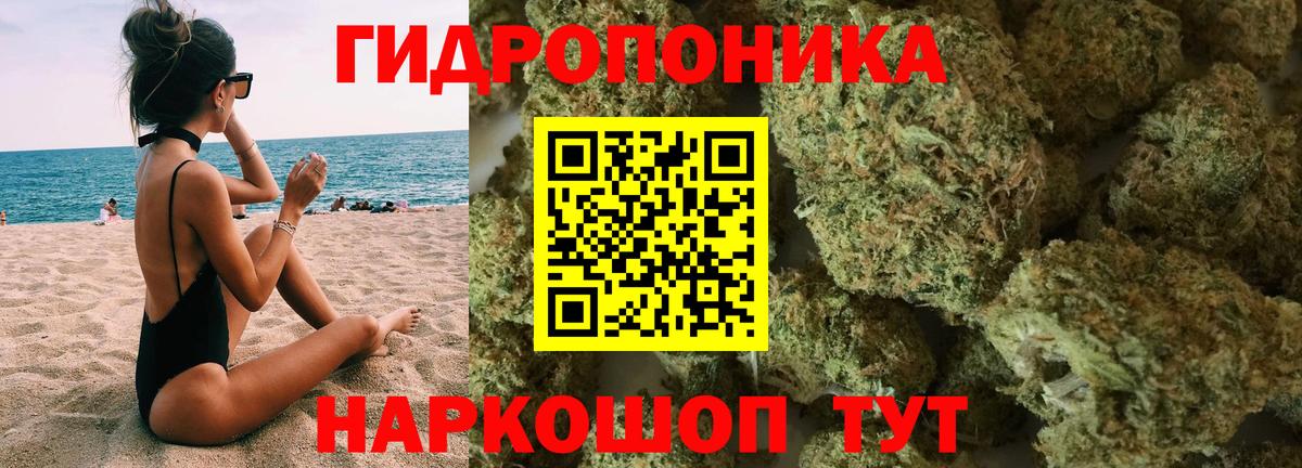 Бошки марихуана White Widow  МАРИХУАНА Amnesia  Торжок  Вход с VPN  Каннабис ГИДРОПОН  Бошки марихуана Ganja 